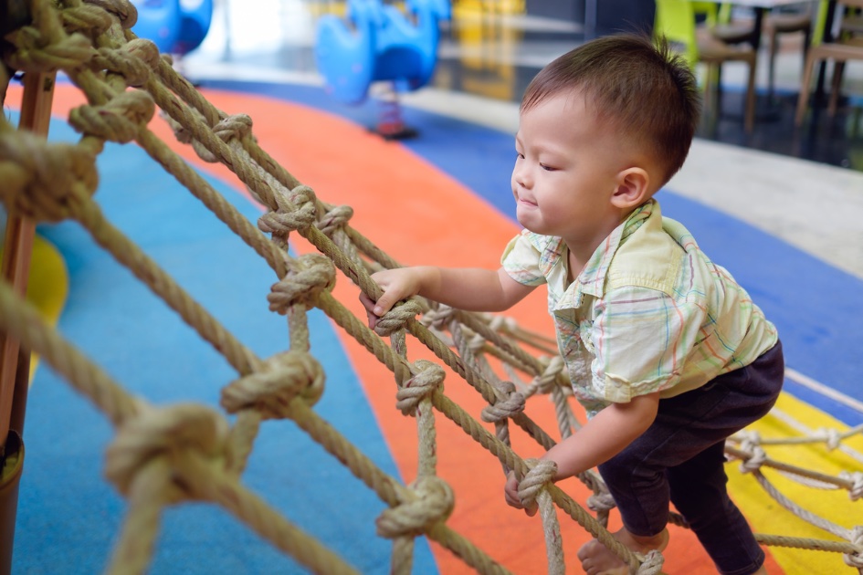 孩子在平衡木 / 攀爬架上專注活動——前庭覺與本體覺的整合